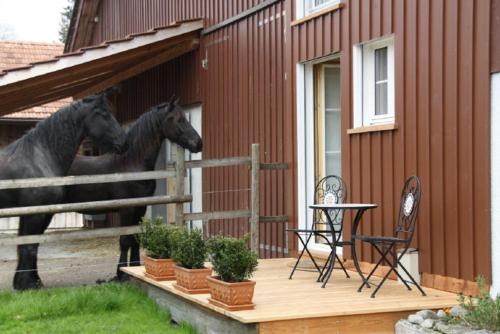 Bnb Haag — Sennwald — photo 5