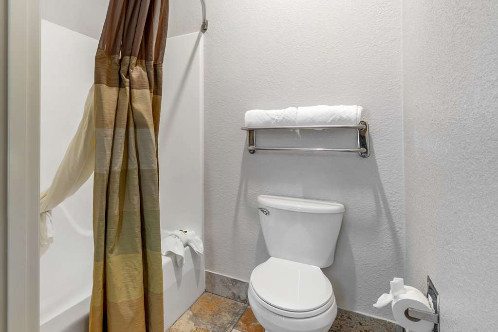 Best Western Plus Des Moines West Inn & Suites - photo 42