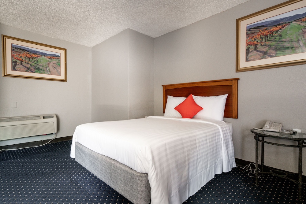 OYO Inn Dallas South - photo 18