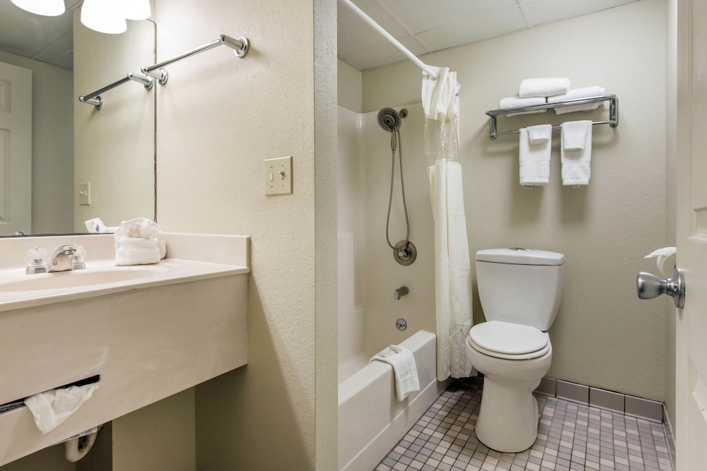 Lamplighter Inn & Suites South - photo 29