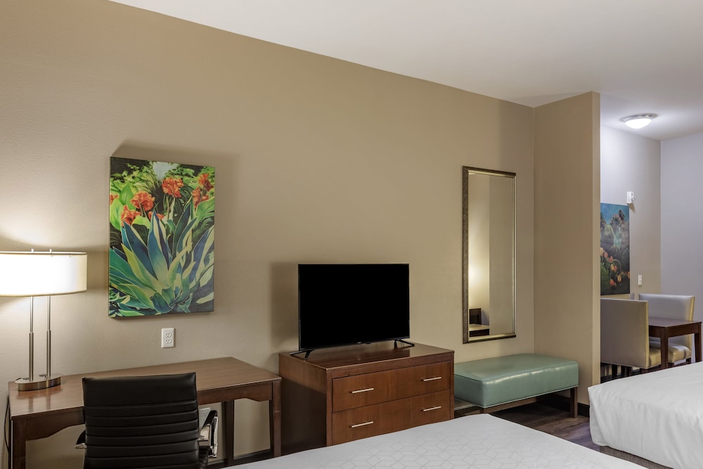 Holiday Inn Express & Suites Indio Coachella Valley by IHG - photo 35