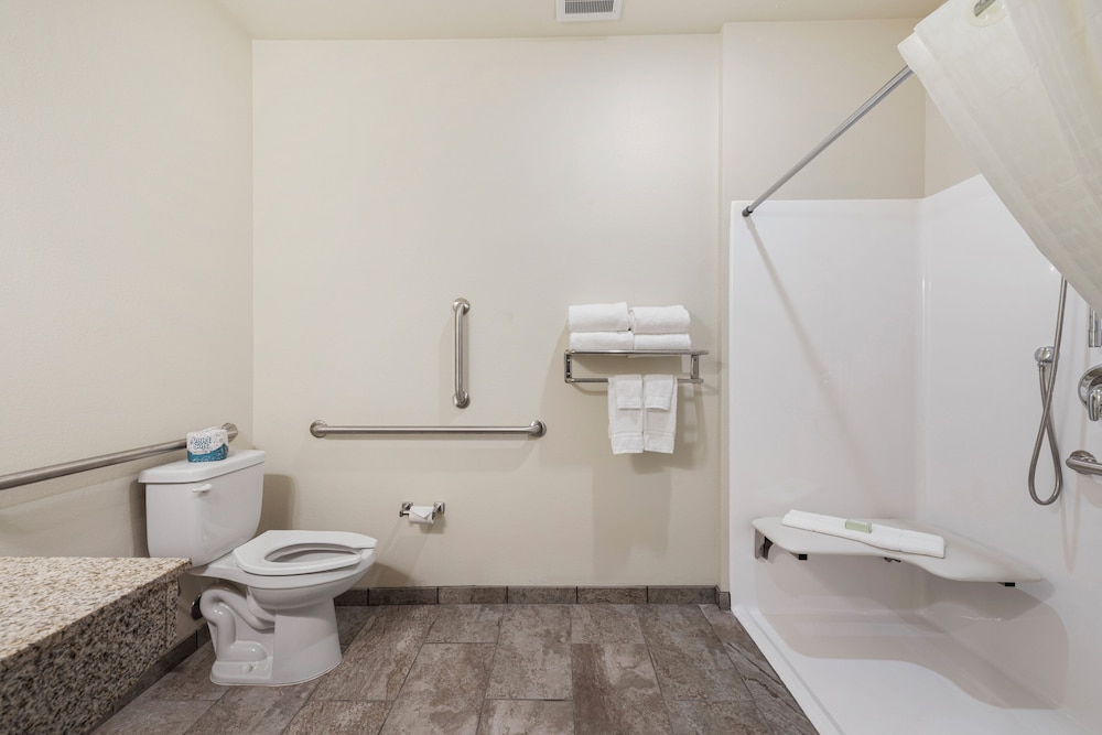 Cobblestone Hotel & Suites Urbana - photo 55