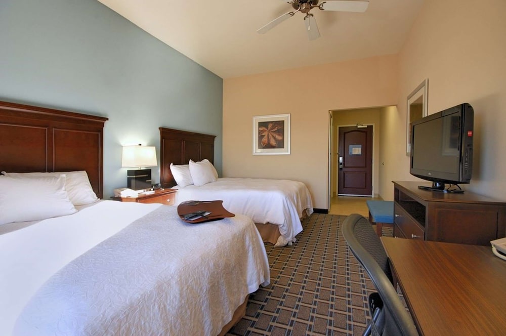 Hampton Inn & Suites New Iberia Avery Island - photo 17