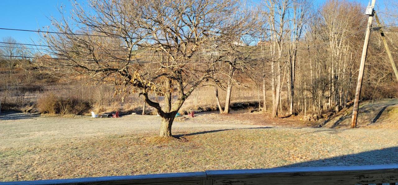 Riverside Retreat and Arcade — hotel in Tazewell