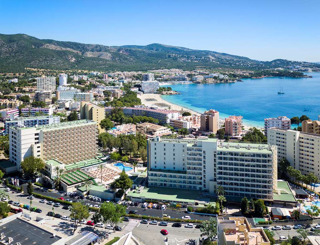 Sol Palmanova Mallorca