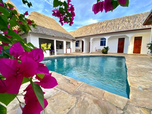 Dragonfly - carbon neutral hotel in Zanzibar