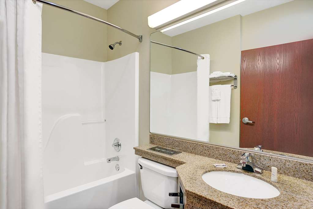 Microtel Inn & Suites by Wyndham Indianapolis Airport - photo 6