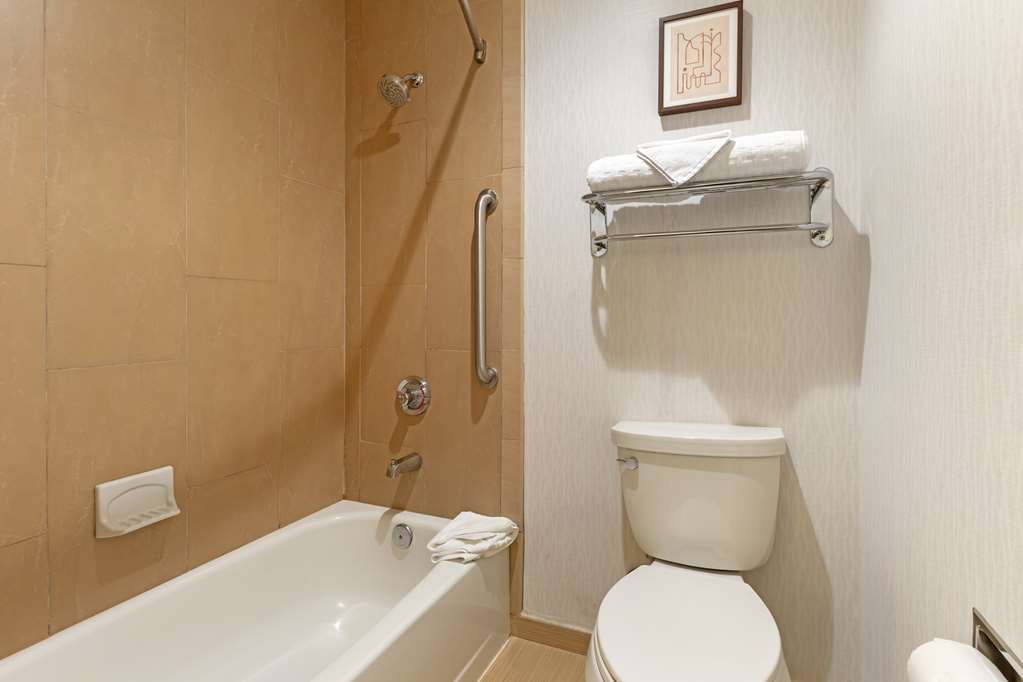 Best Western Plus Rancho Cordova Inn - photo 44