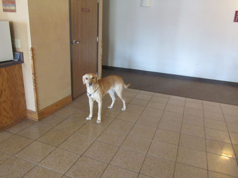 Park View Inn & Suites and Conference Center - photo 23