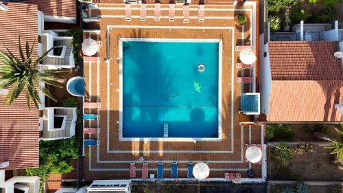 Studio las Americas Monkey Beach in Playa De Las Americas, Spain