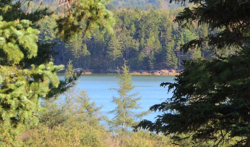 Chandler River Inn - photo 33