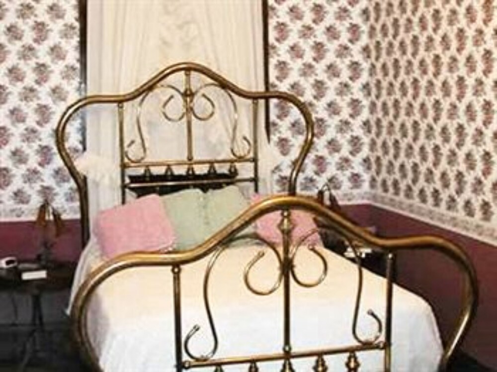 Herzog Mansion - photo 6