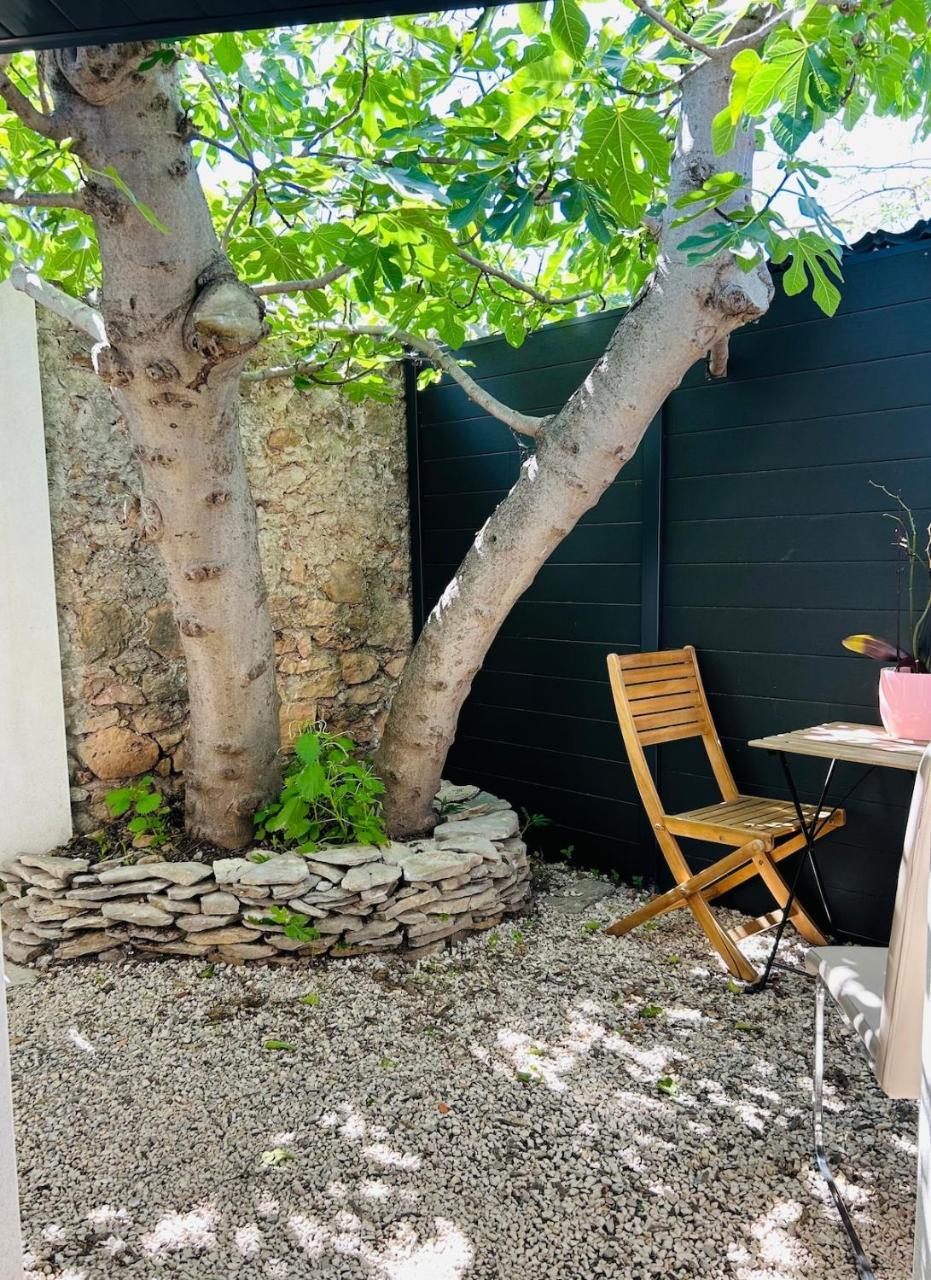 Studio Avec Jardin — Balaruc-Les-Bains — photo 5