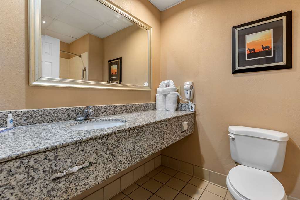 Comfort Inn & Suites Asheboro East - photo 25