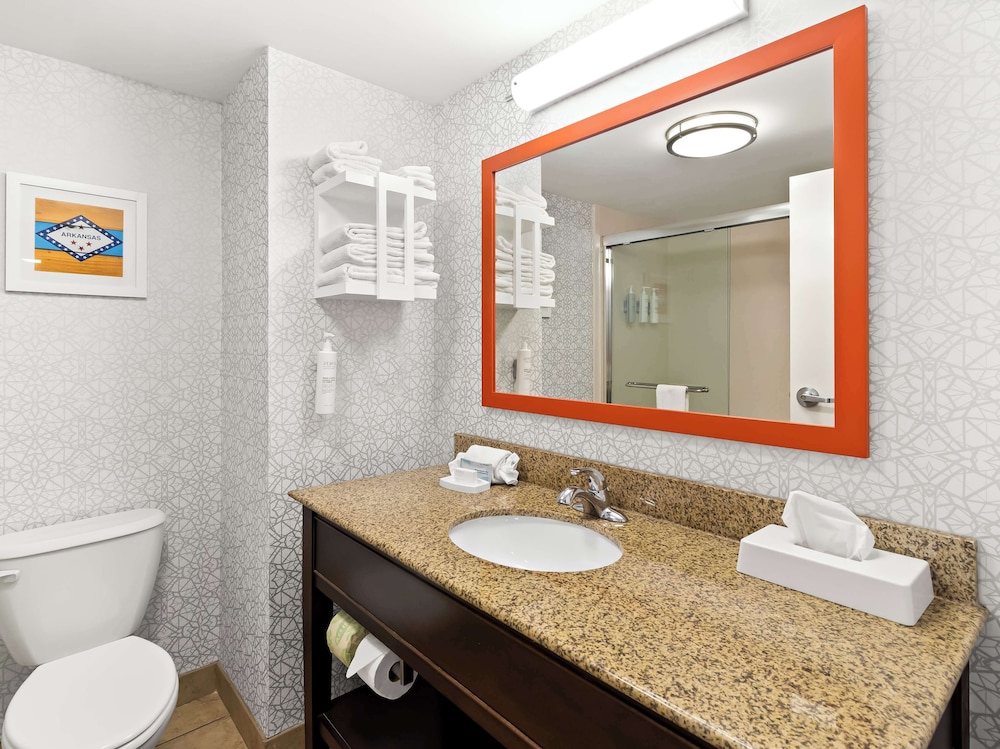 Hampton Inn Blytheville - photo 15