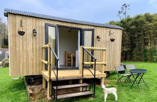 Shepherds hut with valley views — Bodmin — photo 4
