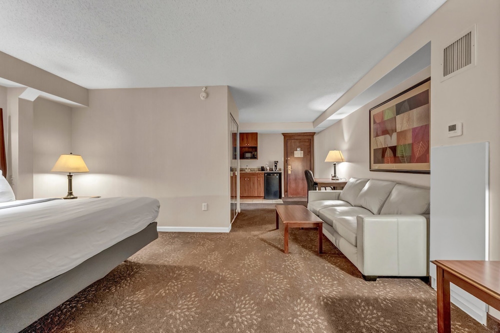 Buffalo Airport Hotel - photo 16