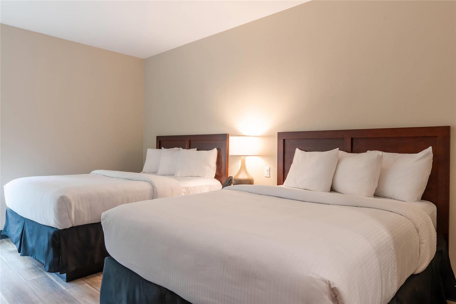 The Chandler Inn Bethlehem Littleton an Ascend Collection Hotel - photo 41