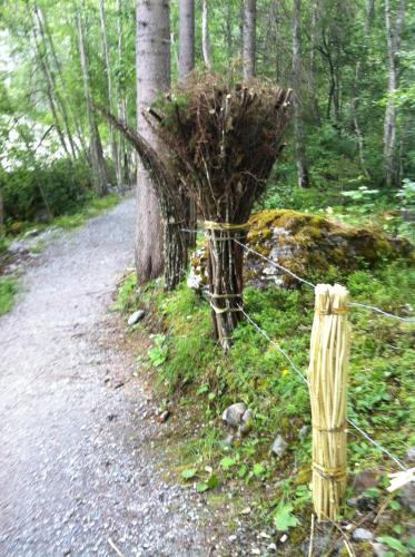 Gletscherschlucht in Grindelwald, Switzerland