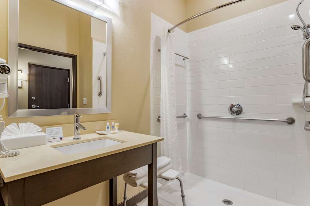 Comfort Suites Near Sam Houston Race Park - photo 6