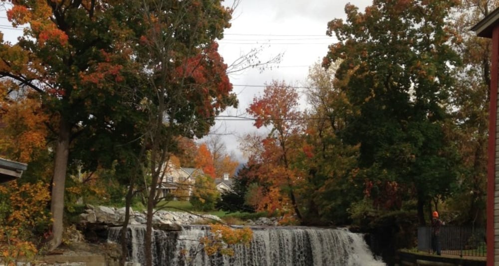 Brandon Inn - photo 100