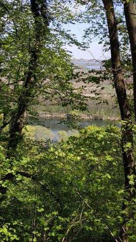 La Badea Mircea — Soroca — photo 4