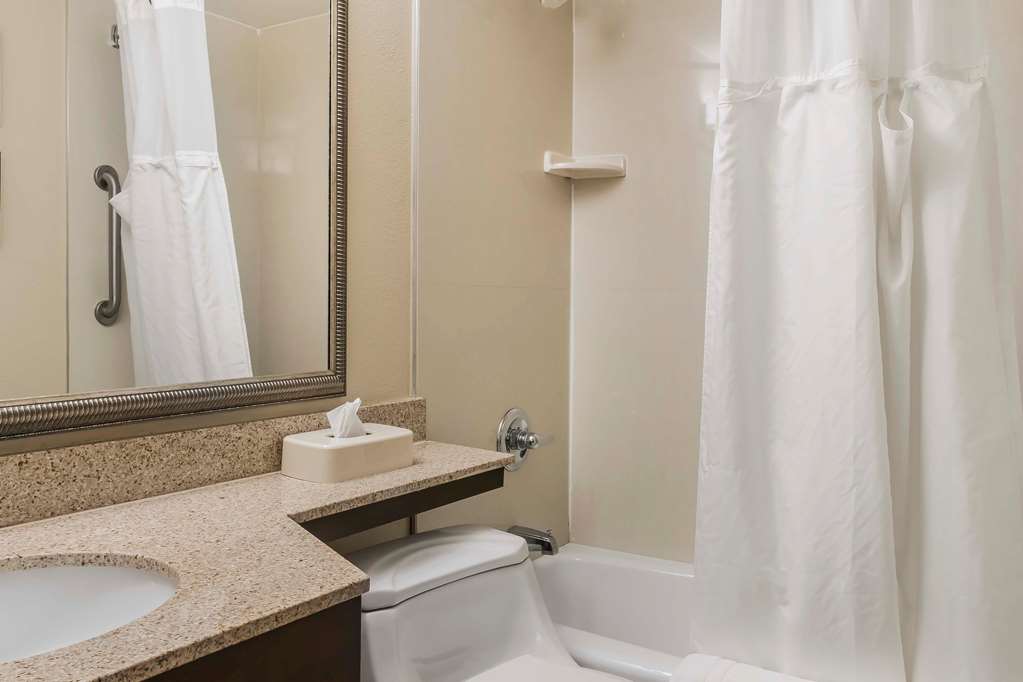 Comfort Inn Pocono Mountains - photo 22