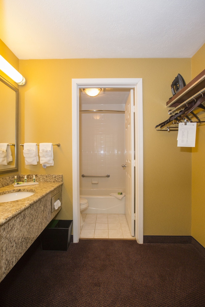 Ivy Court Inn & Suites - photo 23