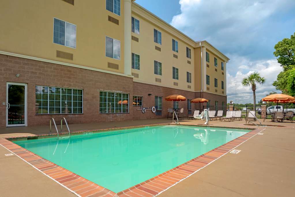 Comfort Suites Alexandria North - photo 25