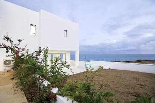 LilyPad in Unknown City, Barbados