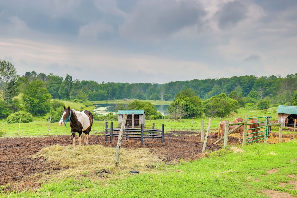 Stunning Mtn Views Middlebury Center Retreat in Middlebury, United States