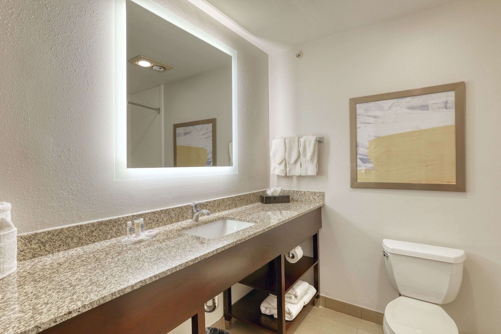 Comfort Suites Milwaukee Airport - photo 33