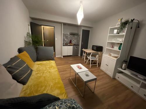 Saint Girons Charmant Studio En Plein Centre — Saint Girons