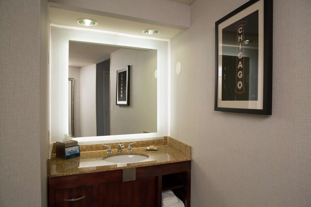 Hilton Chicago Oak Lawn - photo 13