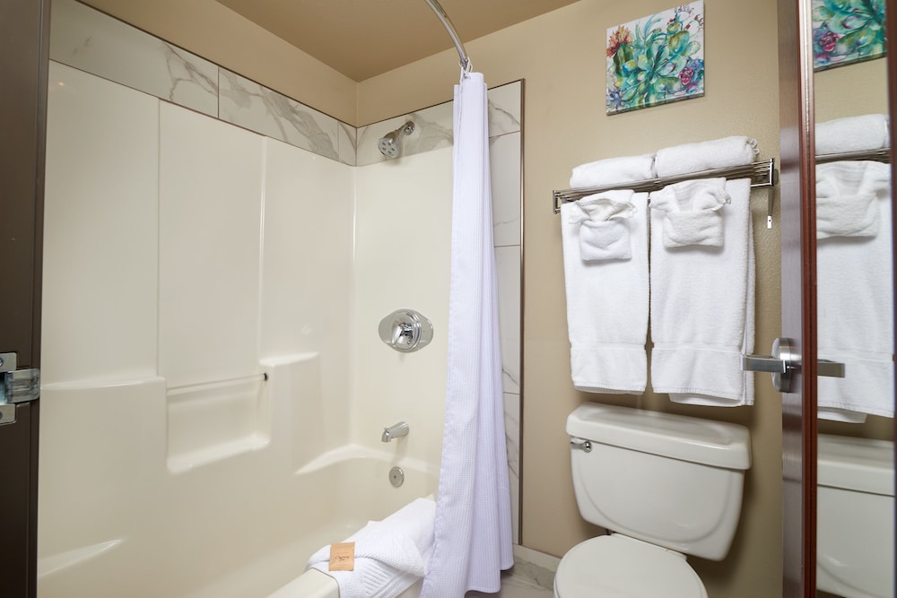 The Hotel Garibaldi - photo 9