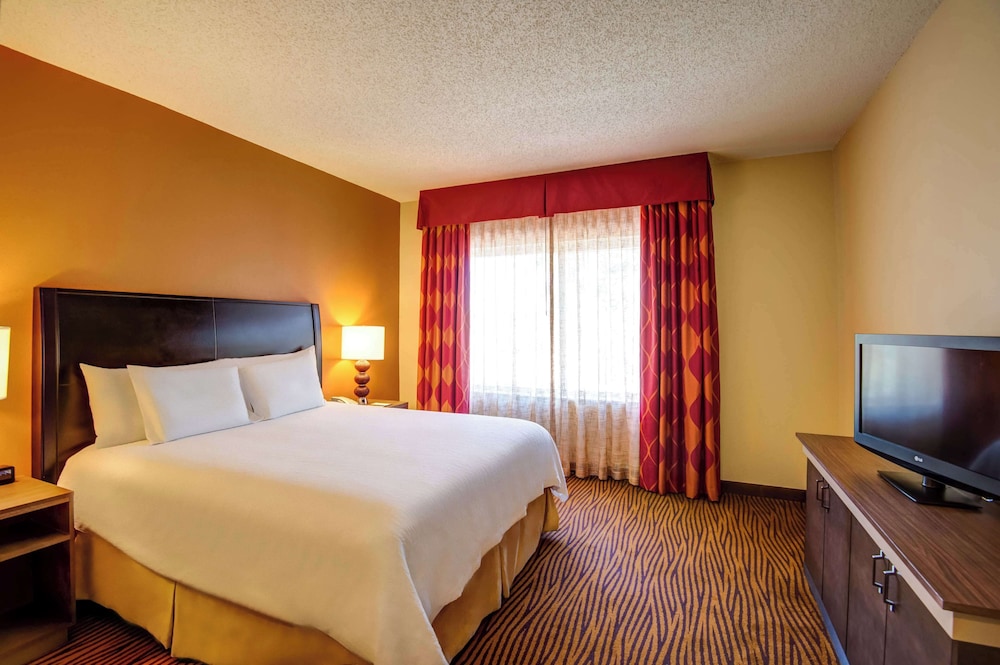 Hilton Garden Inn Tampa Ybor Historic District - photo 12