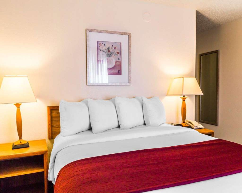 Quality Inn & Suites Golden Denver West - photo 8
