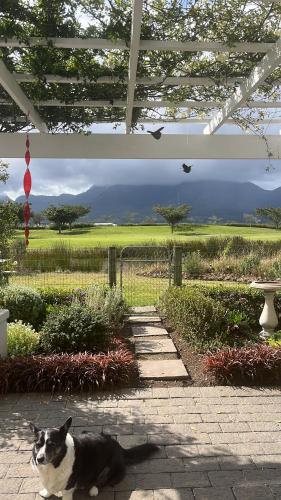 Above Par Kingswood in George, South Africa