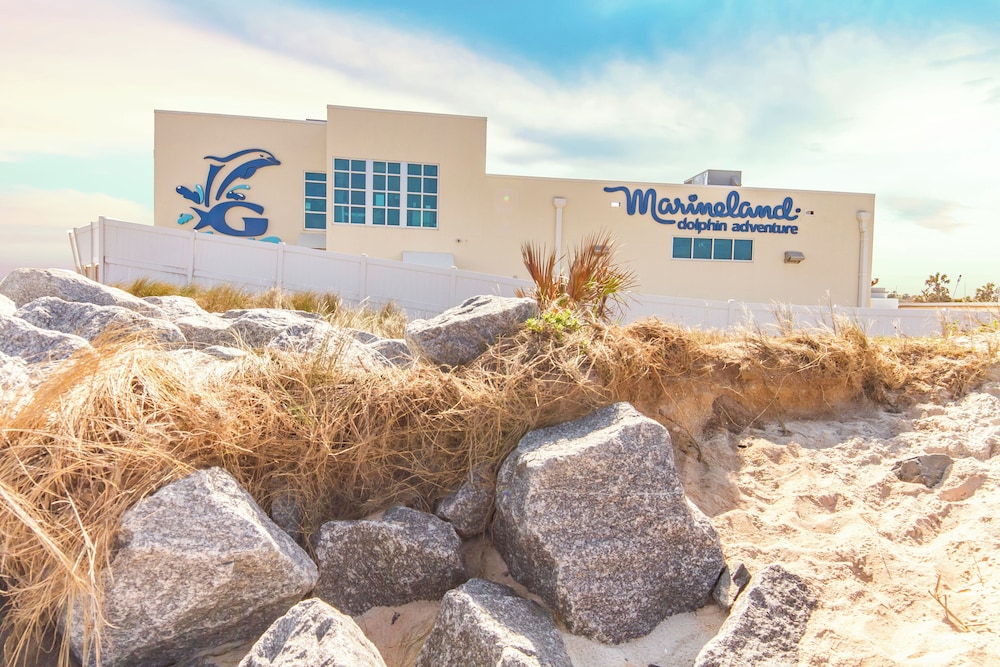 Beach Dream - photo 45