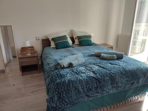 Studio Cosy la Dacquoise Centre Ville Internet Haut Debit in Dax, France