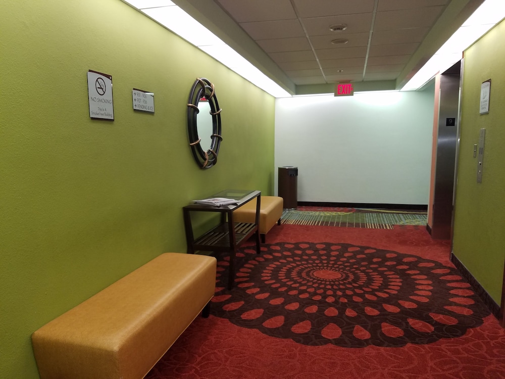 Holiday Inn Miami Beach Oceanfront by IHG - photo 63