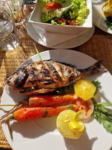 L’artisan — Harqalah — photo 4