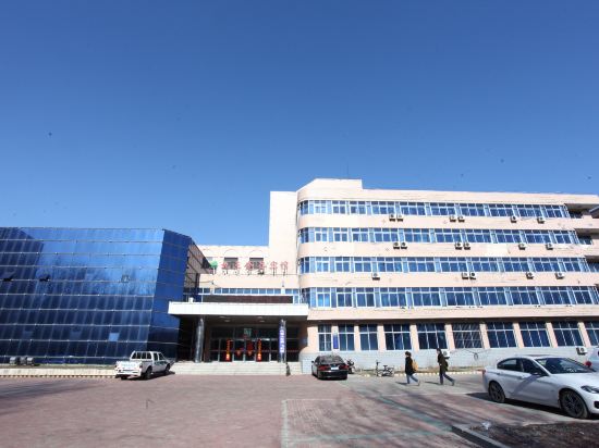 Jiusan Jingu Hotel — hotel in Nenjiang