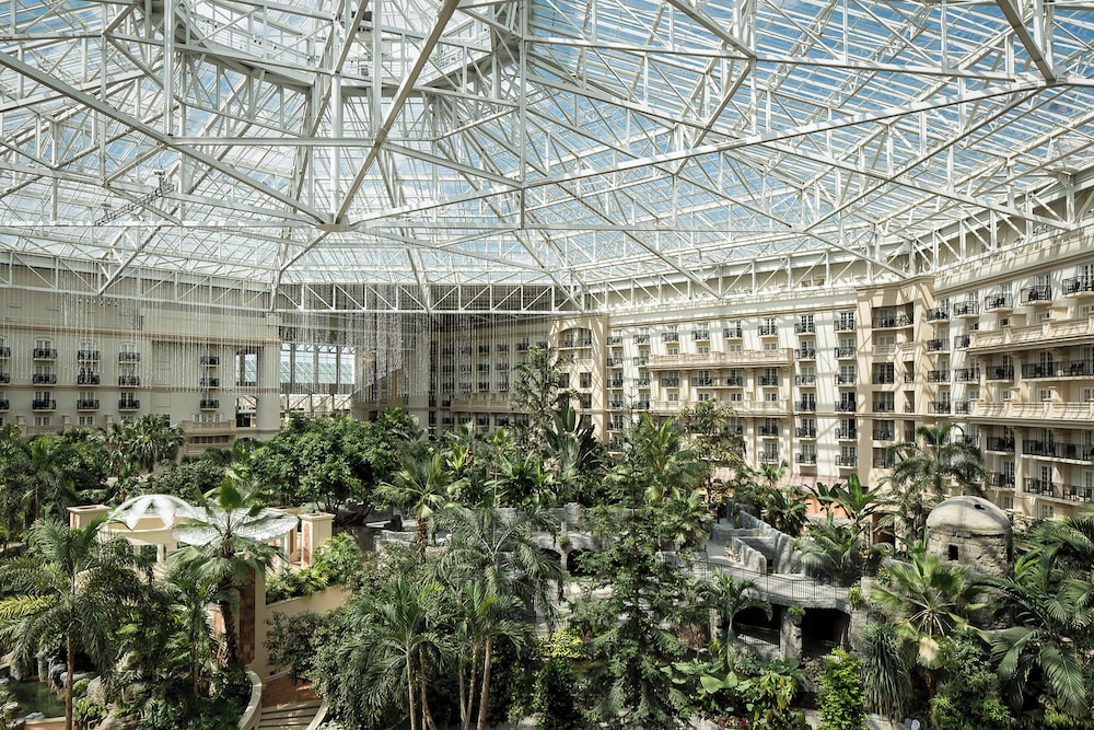 Gaylord Palms Resort & Convention Center - photo 13