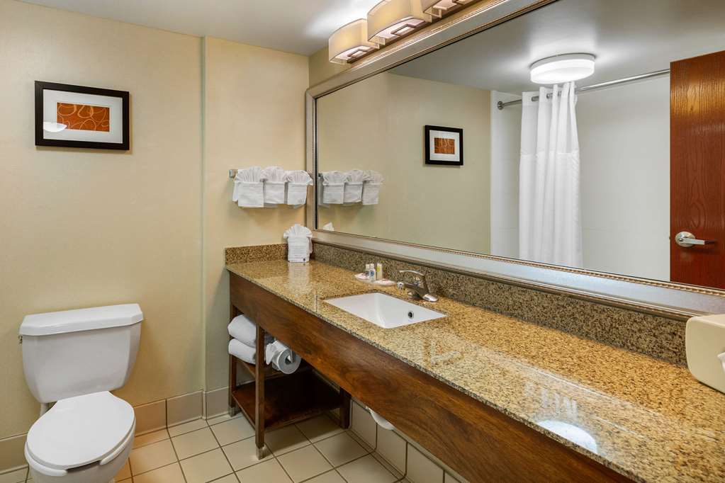 Comfort Suites Manassas Battlefield Park - photo 7