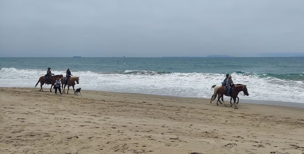 Mandalay Shores Time Share - photo 40