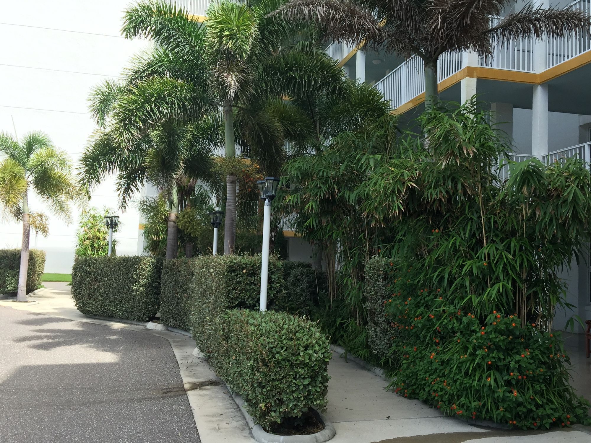 Smyrna Beach Club - photo 34