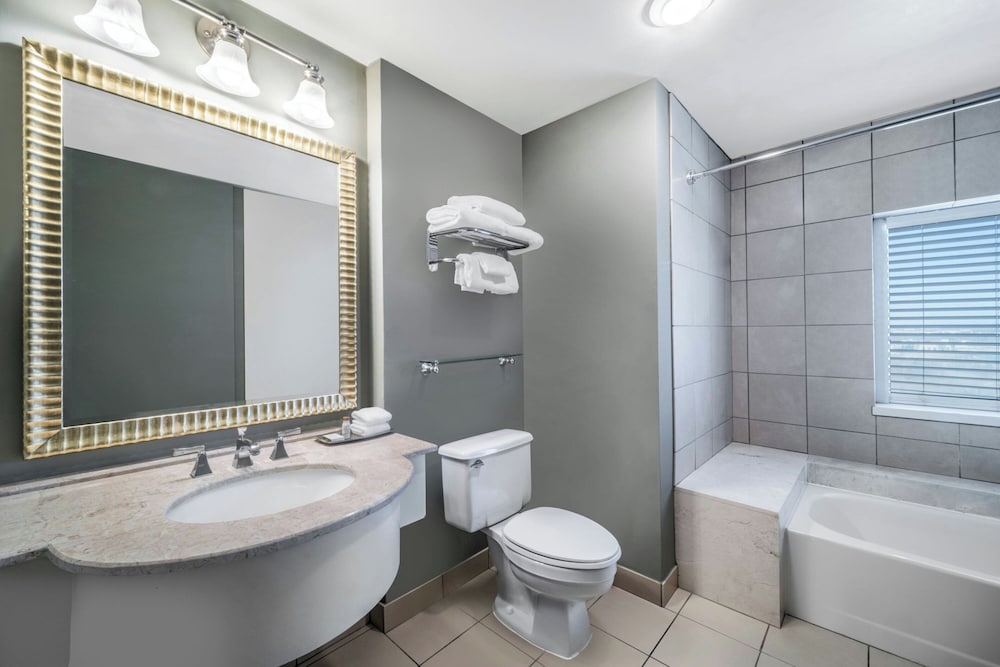 Renaissance Dallas North Hotel - photo 31