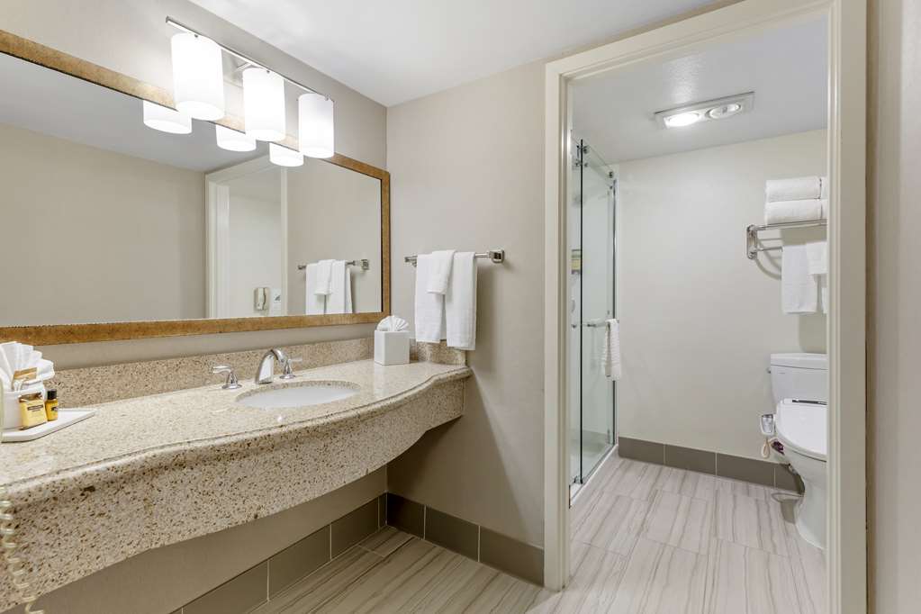 Best Western Plus Executive Inn - photo 40