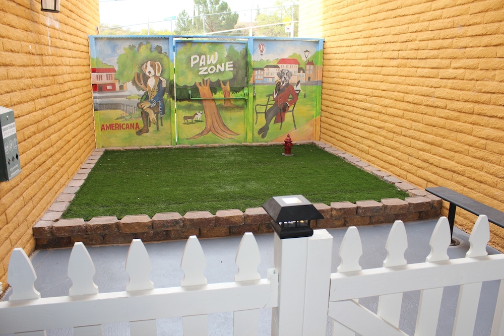 Quality Hotel Americana Nogales - photo 40